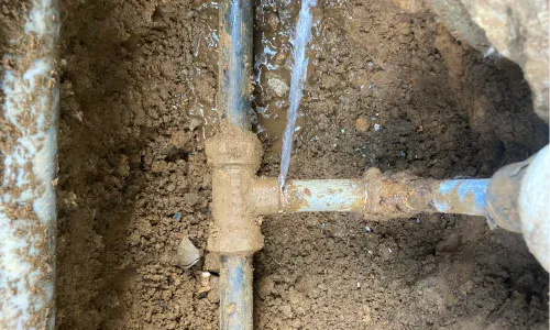 Encanador Porto Belo